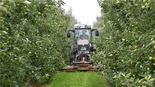 Die Obstbauern kämpfen gegen ein Totalverbot von Glyphosat im Alten Land.